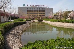 <b>素食餐采用有机食材与植物基蛋白；节气饮食融</b>