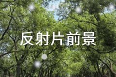 从事物的现象深入到事物的本质