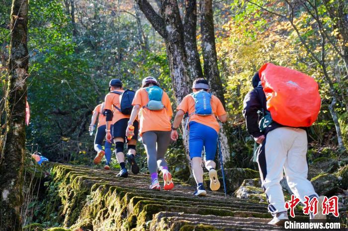 第二十届黄山登山大会举办 国际选手齐聚挑战高